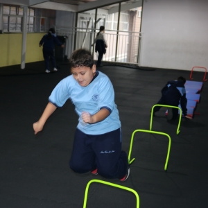 Día de la Actividad Física